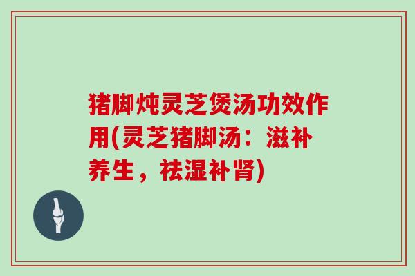 猪脚炖灵芝煲汤功效作用(灵芝猪脚汤:滋补养生,祛湿补肾)