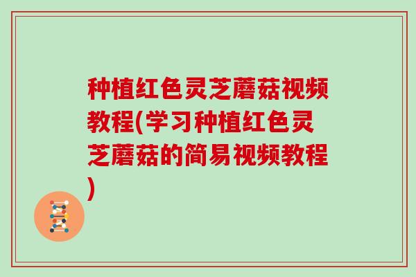 种植红色灵芝蘑菇视频教程(学习种植红色灵芝蘑菇的简易视频教程)