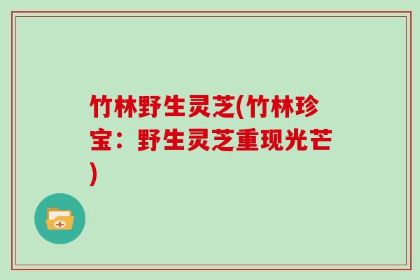 竹林野生灵芝(竹林珍宝:野生灵芝重现光芒)