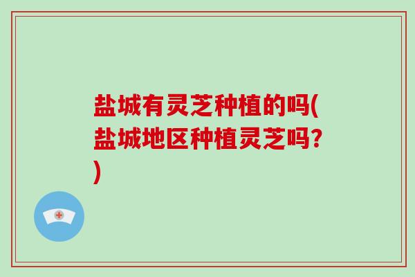 盐城有灵芝种植的吗(盐城地区种植灵芝吗?)