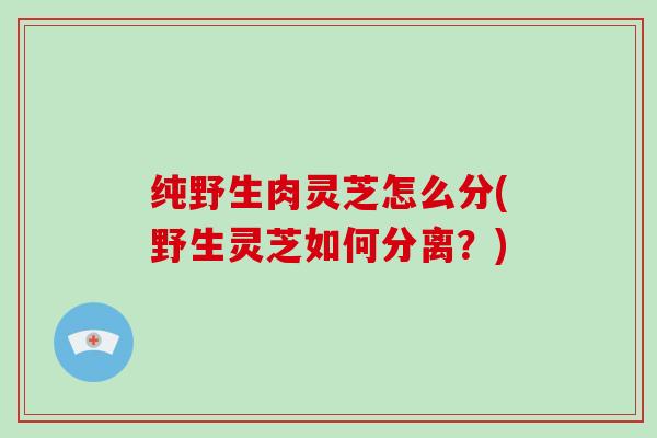 纯野生肉灵芝怎么分(野生灵芝如何分离？)