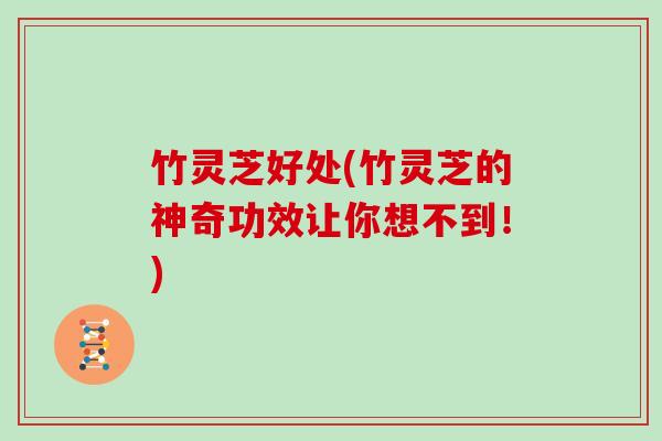 竹灵芝好处(竹灵芝的神奇功效让你想不到!)