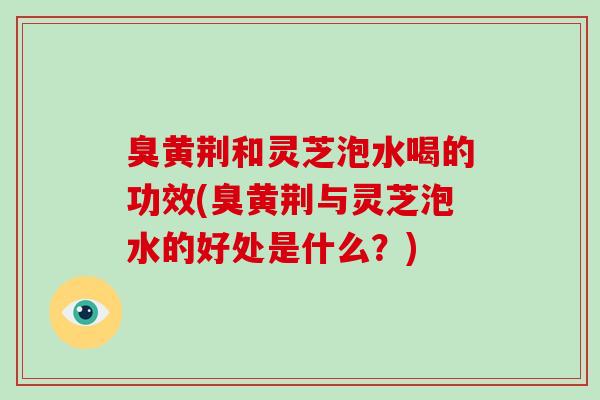 臭黄荆和灵芝泡水喝的功效(臭黄荆与灵芝泡水的好处是什么？)