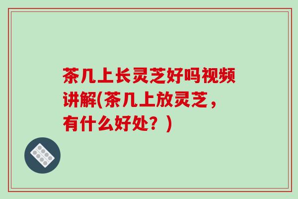 茶几上长灵芝好吗视频讲解(茶几上放灵芝,有什么好处?)
