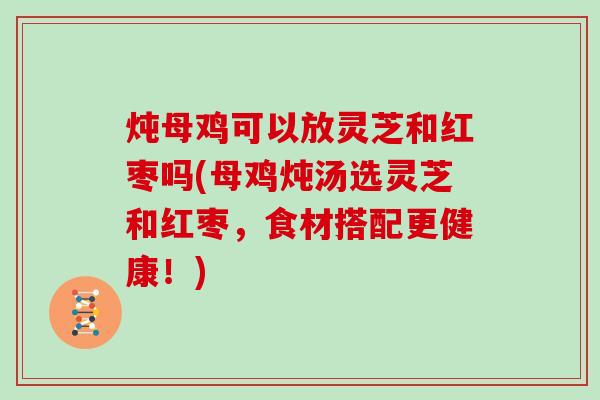 炖母鸡可以放灵芝和红枣吗(母鸡炖汤选灵芝和红枣，食材搭配更健康！)