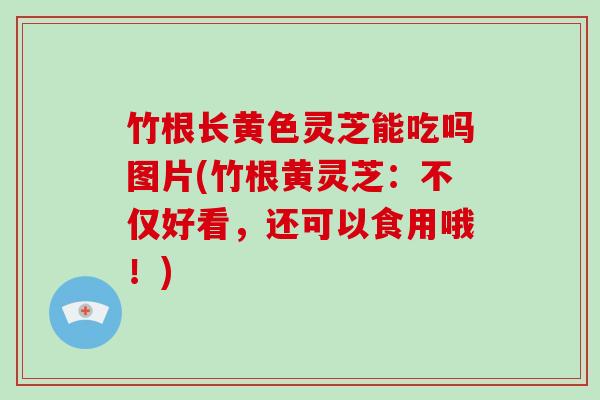 竹根长黄色灵芝能吃吗图片(竹根黄灵芝：不仅好看，还可以食用哦！)