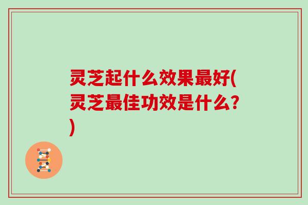 灵芝起什么效果最好(灵芝最佳功效是什么？)
