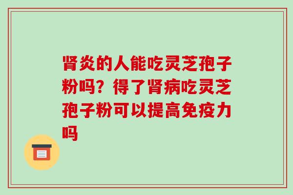 肾炎的人能吃灵芝孢子粉吗?得了肾病吃灵芝孢子粉可以提高免疫力吗
