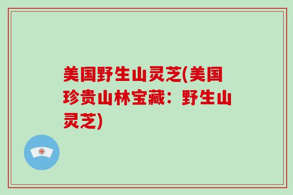 美国野生山灵芝(美国珍贵山林宝藏:野生山灵芝)