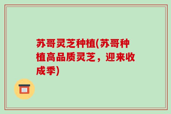 苏哥灵芝种植(苏哥种植高品质灵芝，迎来收成季)