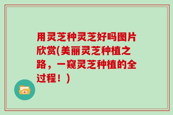 用灵芝种灵芝好吗图片欣赏(美丽灵芝种植之路，一窥灵芝种植的全过程！)