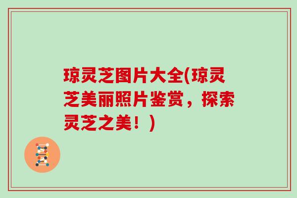 琼灵芝图片大全(琼灵芝美丽照片鉴赏,探索灵芝之美!)
