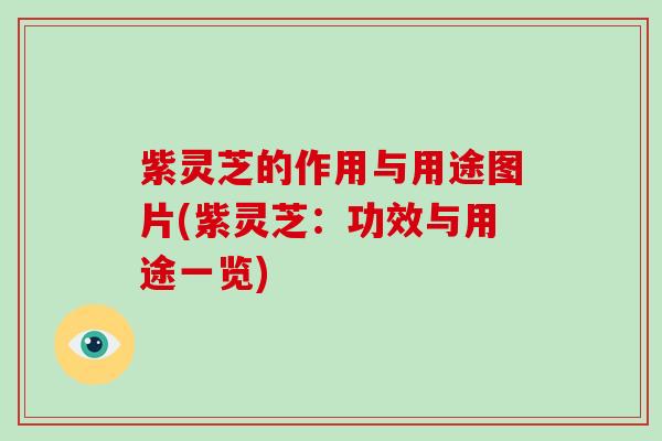 紫灵芝的作用与用途图片(紫灵芝：功效与用途一览)