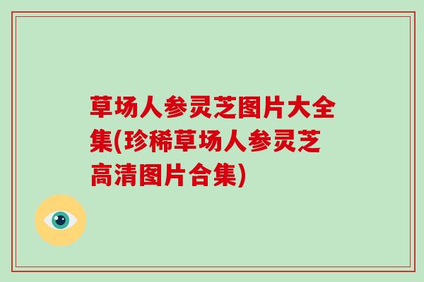 草场人参灵芝图片大全集(珍稀草场人参灵芝高清图片合集)