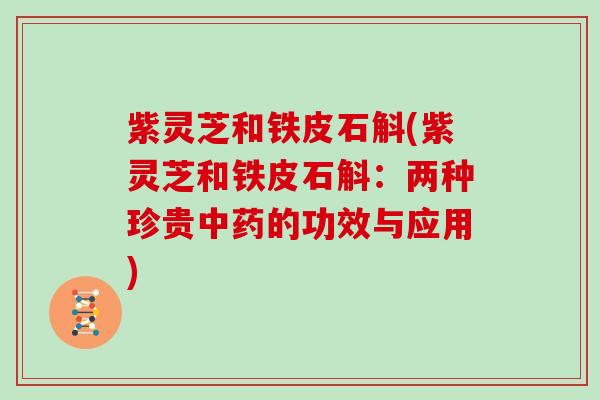 紫灵芝和铁皮石斛(紫灵芝和铁皮石斛:两种珍贵中药的功效与应用)