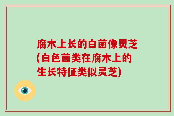 腐木上长的白菌像灵芝(白色菌类在腐木上的生长特征类似灵芝)