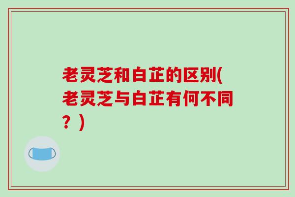 老灵芝和白芷的区别(老灵芝与白芷有何不同？)
