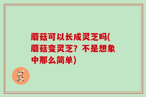 蘑菇可以长成灵芝吗(蘑菇变灵芝？不是想象中那么简单)