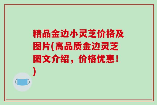 精品金边小灵芝价格及图片(高品质金边灵芝图文介绍,价格优惠!)
