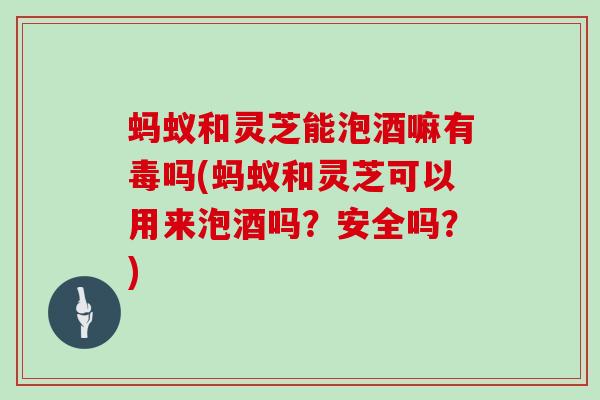 蚂蚁和灵芝能泡酒嘛有毒吗(蚂蚁和灵芝可以用来泡酒吗?安全吗?)