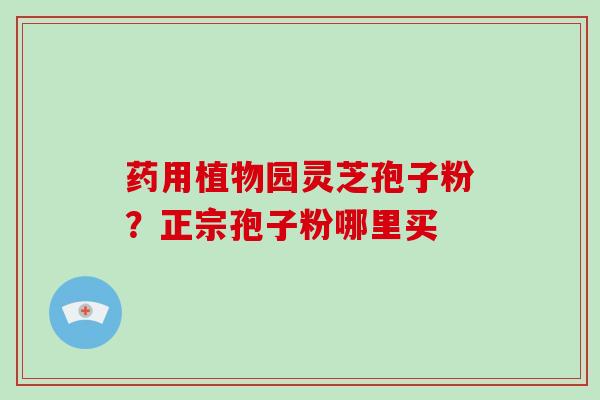 药用植物园灵芝孢子粉？正宗孢子粉哪里买