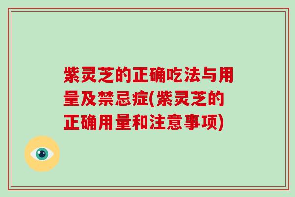 紫灵芝的正确吃法与用量及禁忌症(紫灵芝的正确用量和注意事项)
