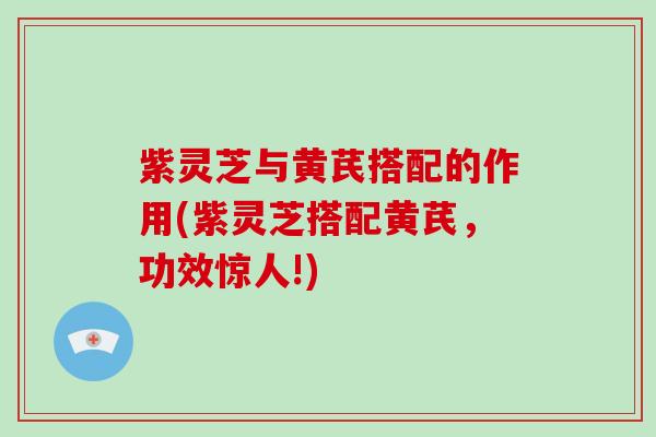 紫灵芝与黄芪搭配的作用(紫灵芝搭配黄芪，功效惊人!)