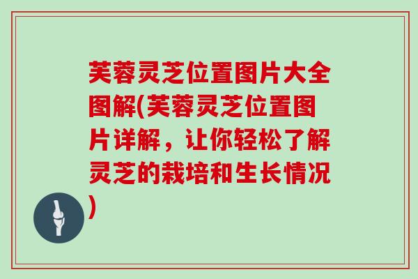 芙蓉灵芝位置图片大全图解(芙蓉灵芝位置图片详解，让你轻松了解灵芝的栽培和生长情况)
