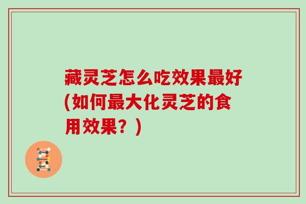 藏灵芝怎么吃效果最好(如何最大化灵芝的食用效果?)