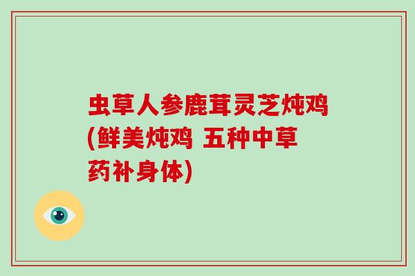虫草人参鹿茸灵芝炖鸡(鲜美炖鸡 五种中草药补身体)