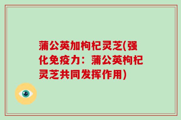 蒲公英加枸杞灵芝(强化免疫力:蒲公英枸杞灵芝共同发挥作用)