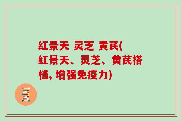 红景天 灵芝 黄芪(红景天、灵芝、黄芪搭档, 增强免疫力)