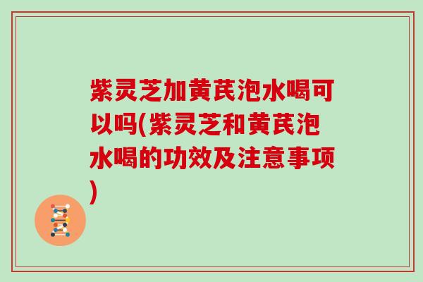 紫灵芝加黄芪泡水喝可以吗(紫灵芝和黄芪泡水喝的功效及注意事项)