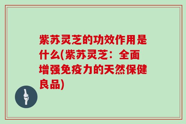 紫苏灵芝的功效作用是什么(紫苏灵芝:全面增强免疫力的天然保健良品)