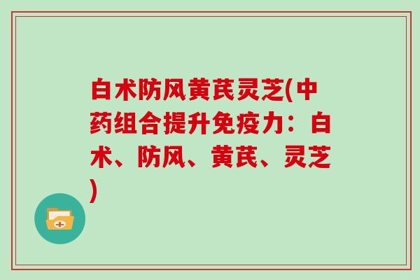 白术防风黄芪灵芝(中药组合提升免疫力：白术、防风、黄芪、灵芝)