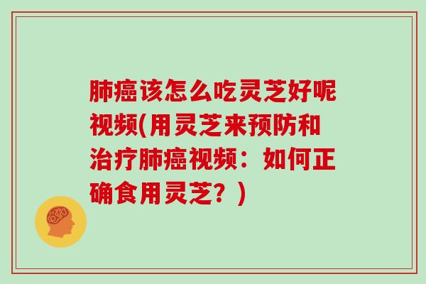 肺癌该怎么吃灵芝好呢视频(用灵芝来预防和治疗肺癌视频:如何正确食用灵芝?)