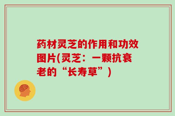 药材灵芝的作用和功效图片(灵芝:一颗抗衰老的“长寿草”)