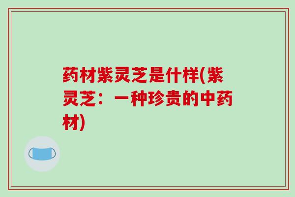 药材紫灵芝是什样(紫灵芝:一种珍贵的中药材)