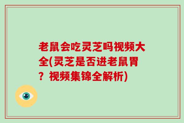 老鼠会吃灵芝吗视频大全(灵芝是否进老鼠胃?视频集锦全解析)