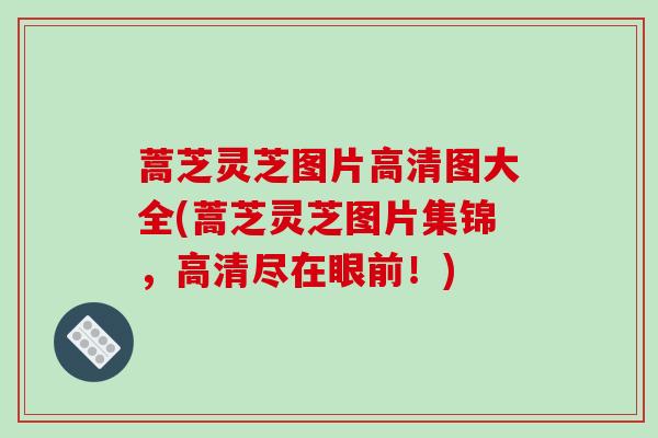 蒿芝灵芝图片高清图大全(蒿芝灵芝图片集锦,高清尽在眼前!)