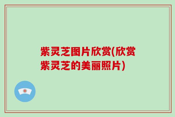 紫灵芝图片欣赏(欣赏紫灵芝的美丽照片)