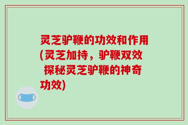 灵芝驴鞭的功效和作用(灵芝加持,驴鞭双效 探秘灵芝驴鞭的神奇功效)