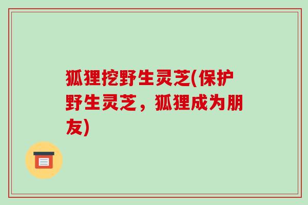 狐狸挖野生灵芝(保护野生灵芝,狐狸成为朋友)