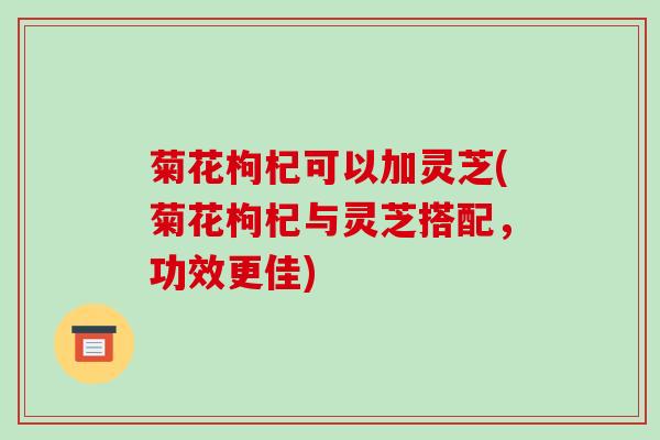 菊花枸杞可以加灵芝(菊花枸杞与灵芝搭配,功效更佳)