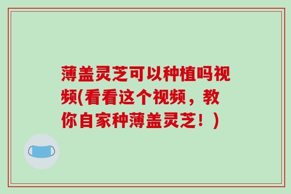 薄盖灵芝可以种植吗视频(看看这个视频,教你自家种薄盖灵芝!)