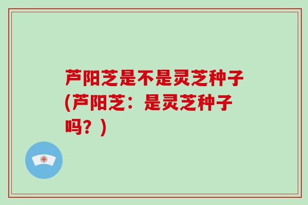芦阳芝是不是灵芝种子(芦阳芝:是灵芝种子吗?)