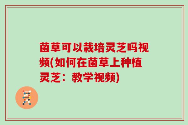 菌草可以栽培灵芝吗视频(如何在菌草上种植灵芝:教学视频)
