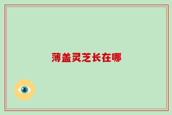 薄盖灵芝长在哪