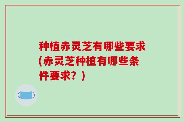 种植赤灵芝有哪些要求(赤灵芝种植有哪些条件要求?)