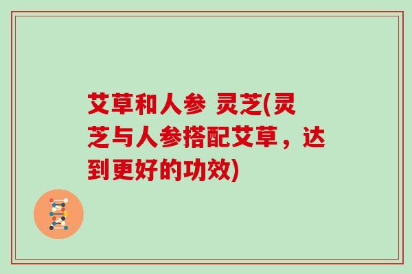 艾草和人参 灵芝(灵芝与人参搭配艾草，达到更好的功效)